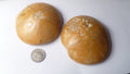 LOT OF 2 Clypeasteroid Fossil Star Sand dollar 2 & 5/8"