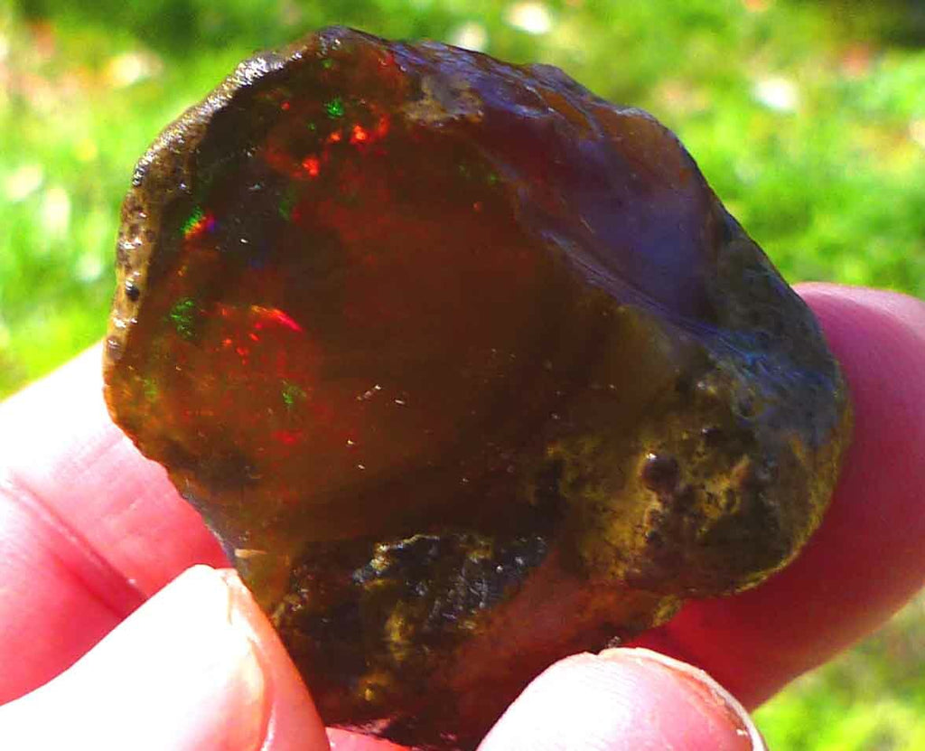 Chocolate Welo Ethiopia Precious Opal 289.4 carats Ethiopian