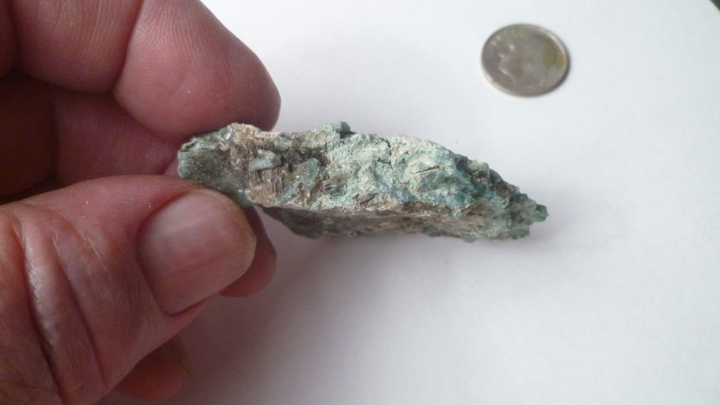 CHROMIUM! Extremely RARE Mint GREEN Petrified Wood ARIZONA 22g