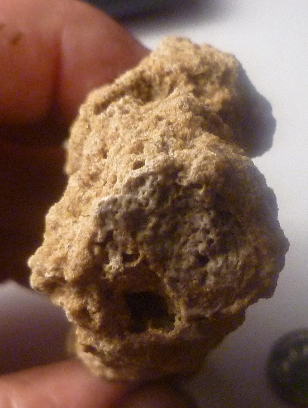 TOTALLY TUBULAR! 4.75" Natural Glass DOUBLE FULGURITE from LIGHTNING 121mm