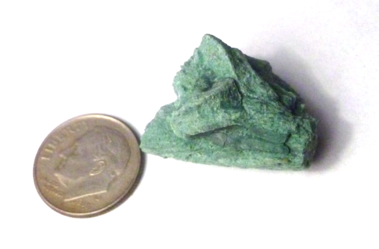 CHROMIUM! Mint GREEN Petrified Wood Log ARIZONA 37.5 cts 24mm
