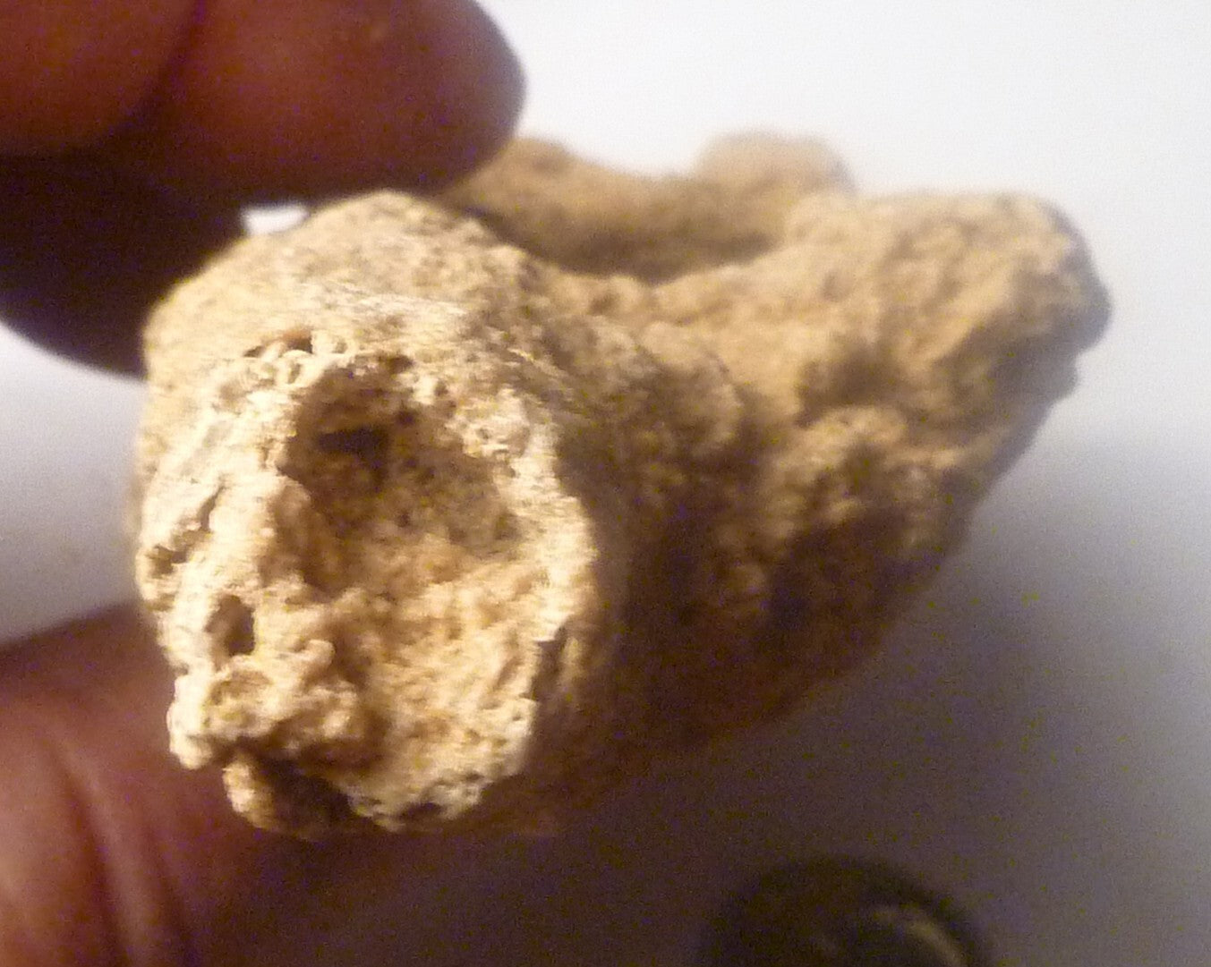 TOTALLY TUBULAR! 4.75" Natural Glass DOUBLE FULGURITE from LIGHTNING 121mm