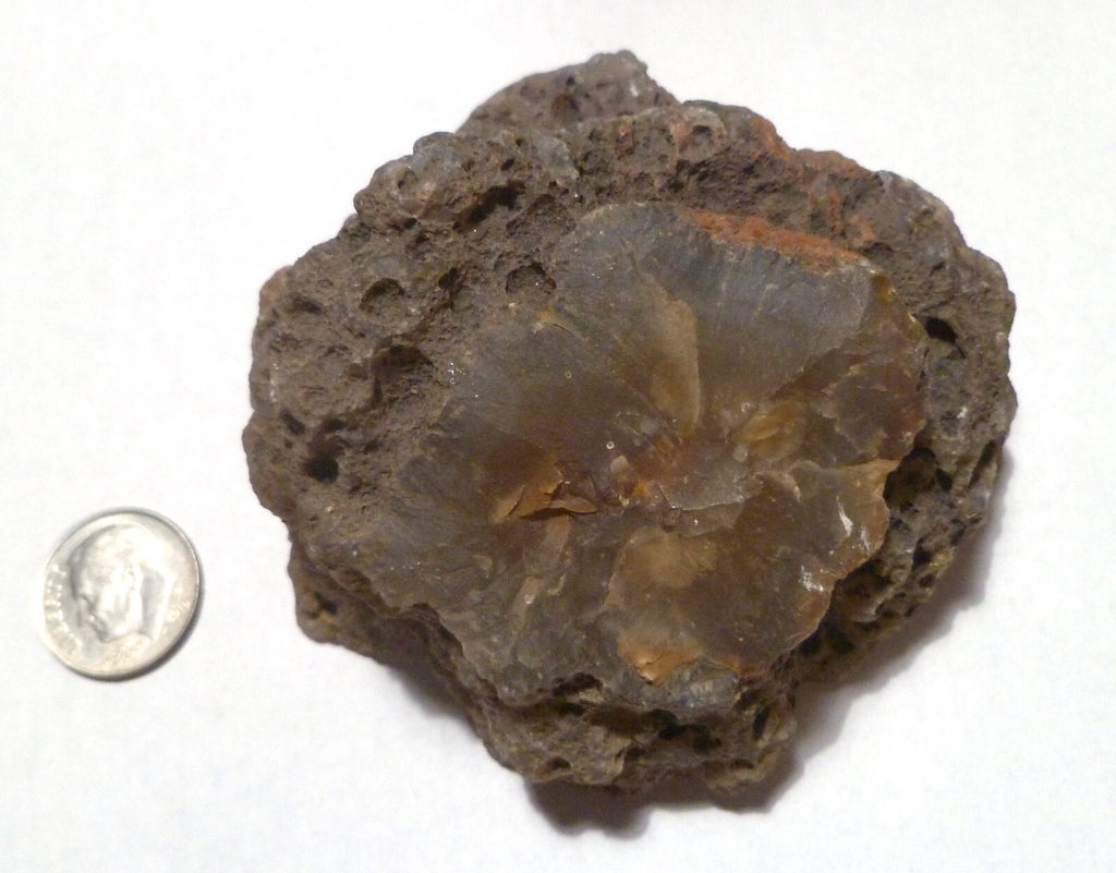 Large Half Malawi Agate Half Nodule Malawi 224 grams