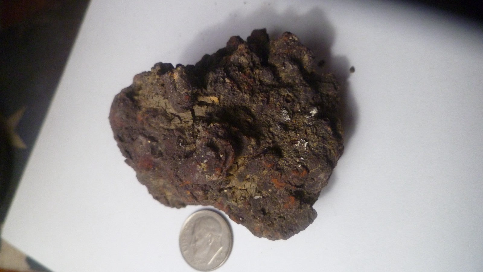 140g Fecal Fossil Dinosaur Coprolite Dung Poop Fossilized Specimen GAG GIFT!