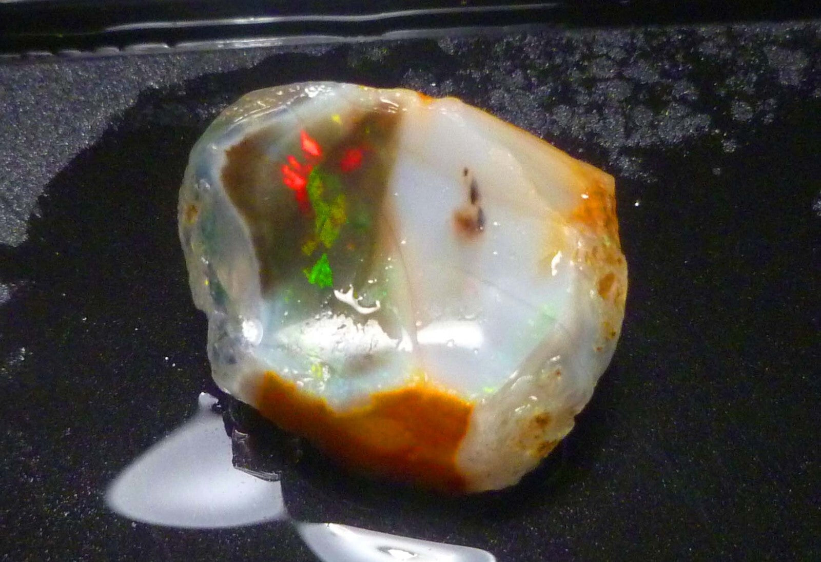 Virgin Valley Black Precious Opal Petrified Wood Nevada 41.2cts!