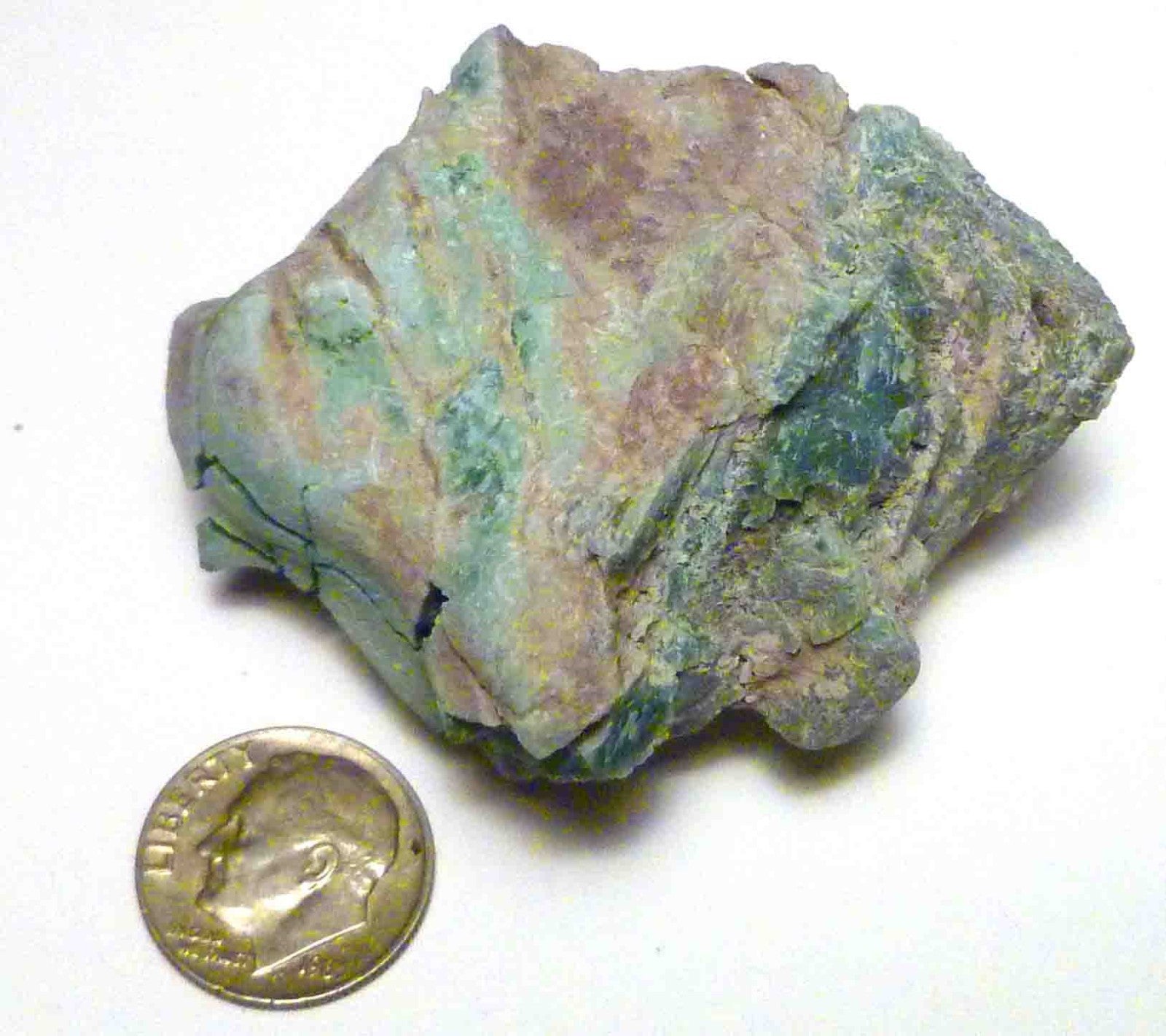 CHROMIUM! Extremely RARE Mint GREEN Petrified Wood Log ARIZONA 74.1