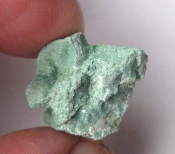 CHROMIUM! Mint GREEN Petrified Wood Log ARIZONA 37.5 cts 24mm