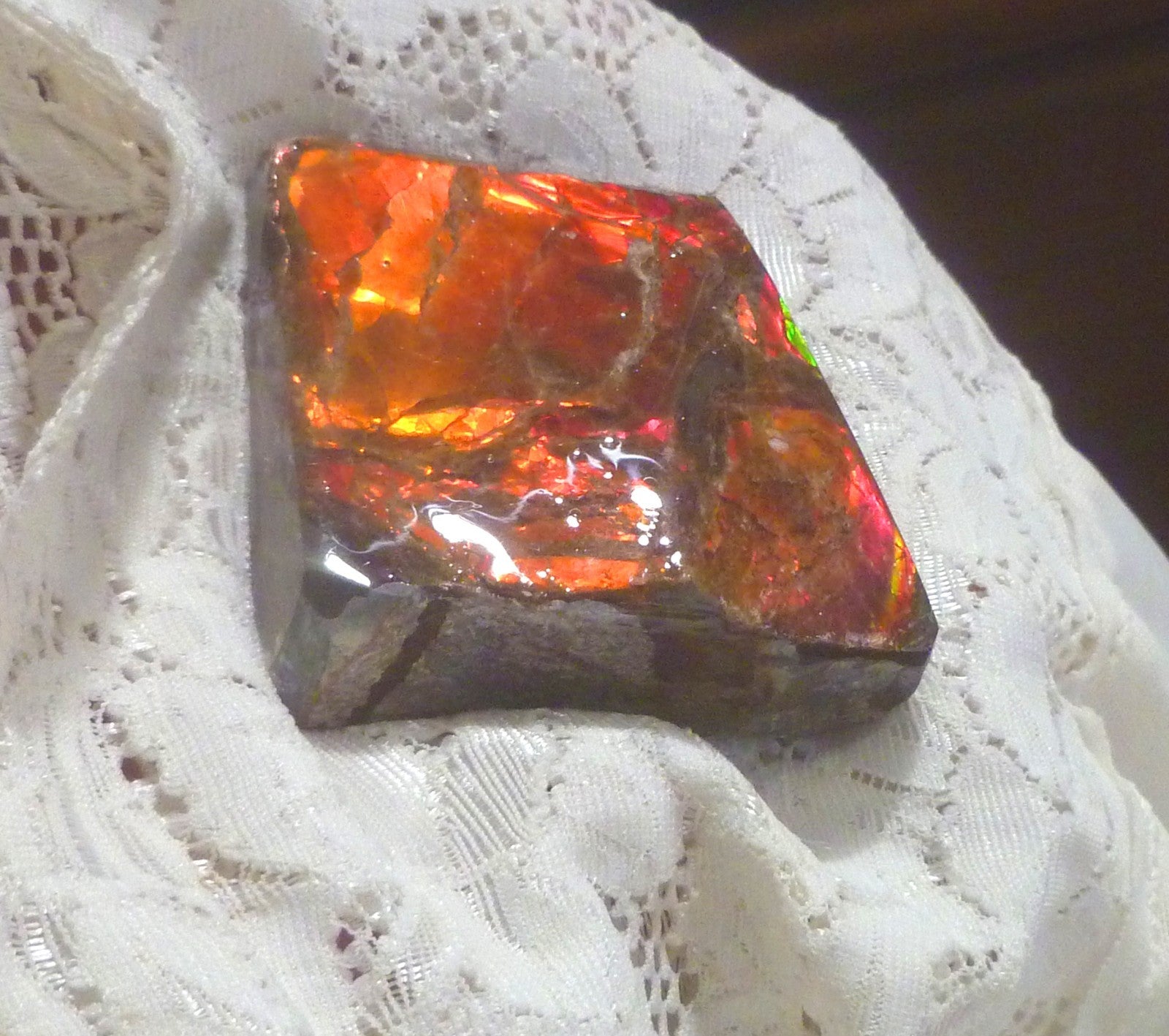 52x52x19mm  RED AMMOLITE  Color change gemstone Canada Ammonite