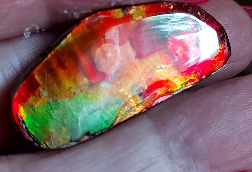 Ammolite Gem Stone 37x17x5mm Color Change Cabochon