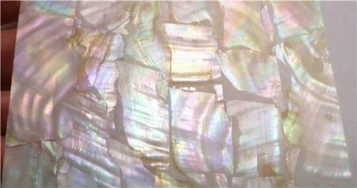 Mother of Pearl Shell INLAY OVERLAY Thin Veneer Luthier Scrapbooking