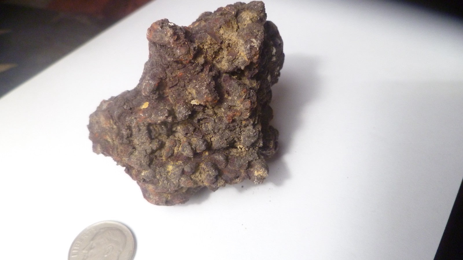 140g Fecal Fossil Dinosaur Coprolite Dung Poop Fossilized Specimen GAG GIFT!