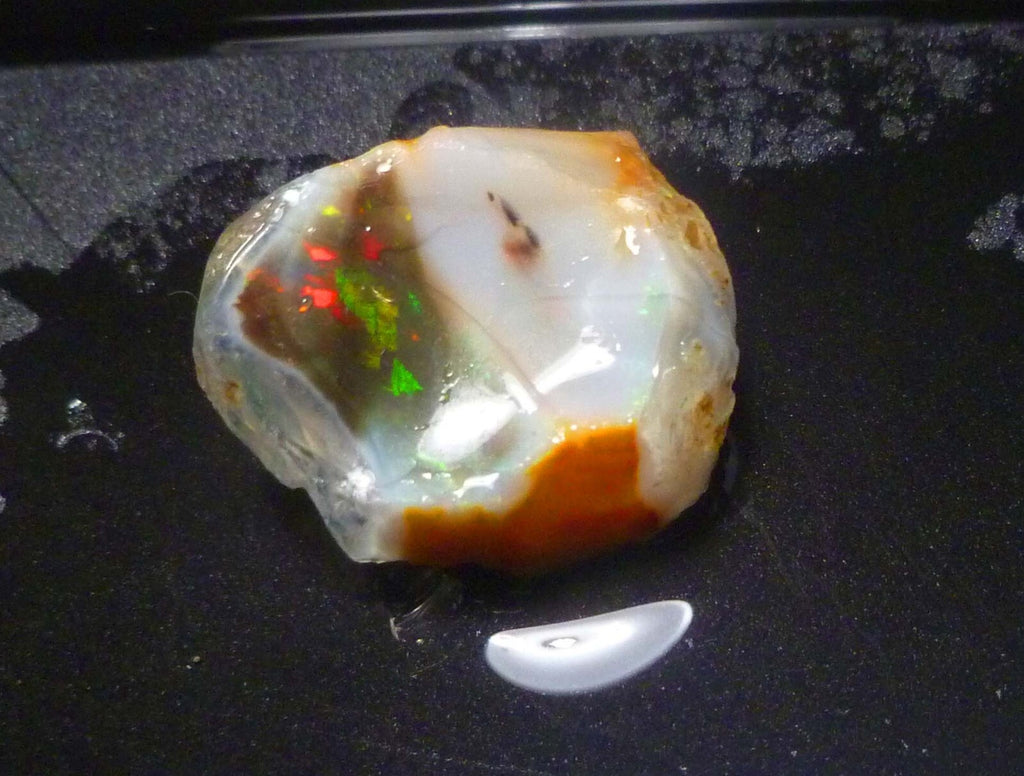 Virgin Valley Black Precious Opal Petrified Wood Nevada 41.2cts!