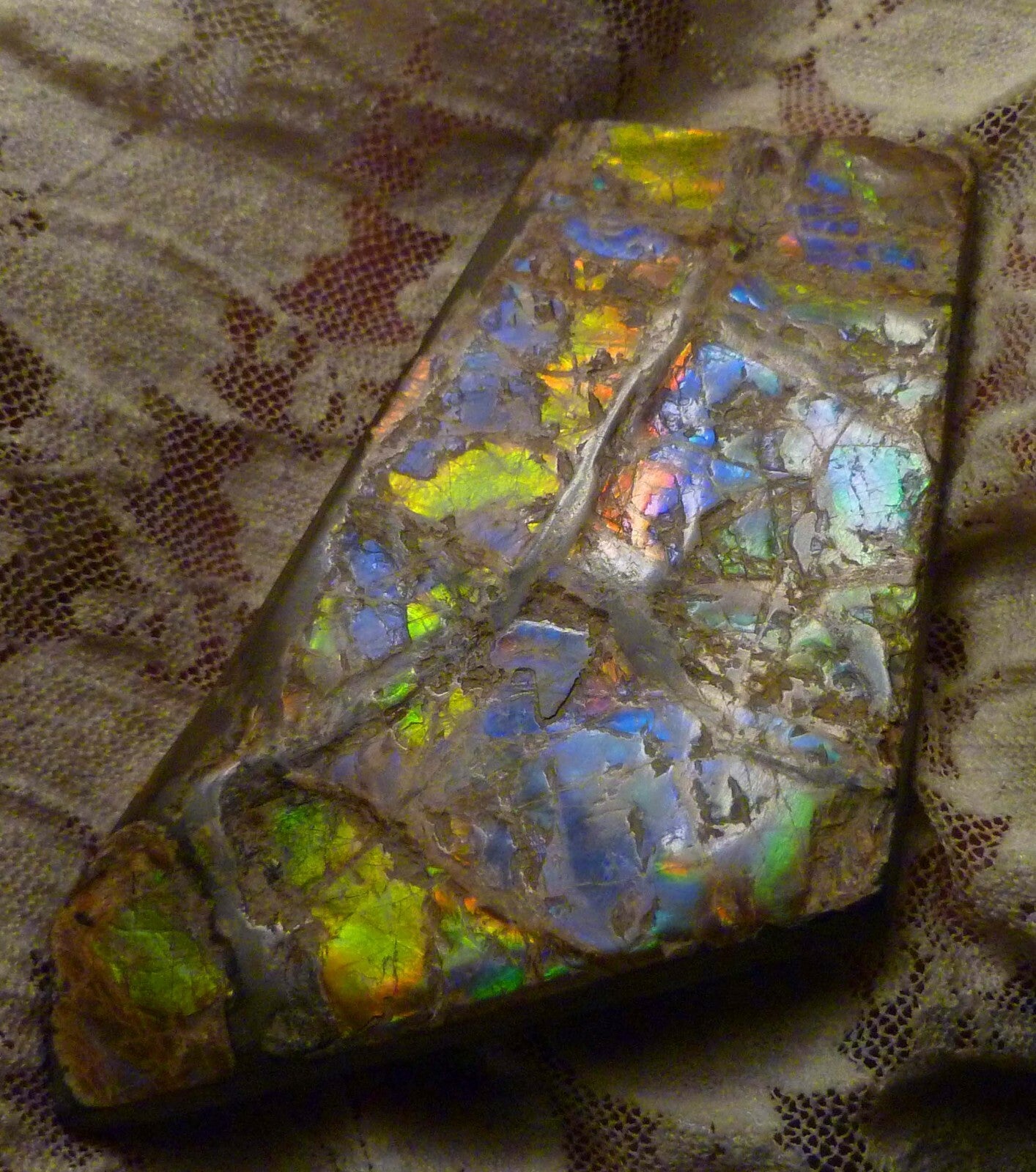 84x52mm Purple, Blue, Green, Red AMMOLITE Ammonite SIX Colors 56.4 grams