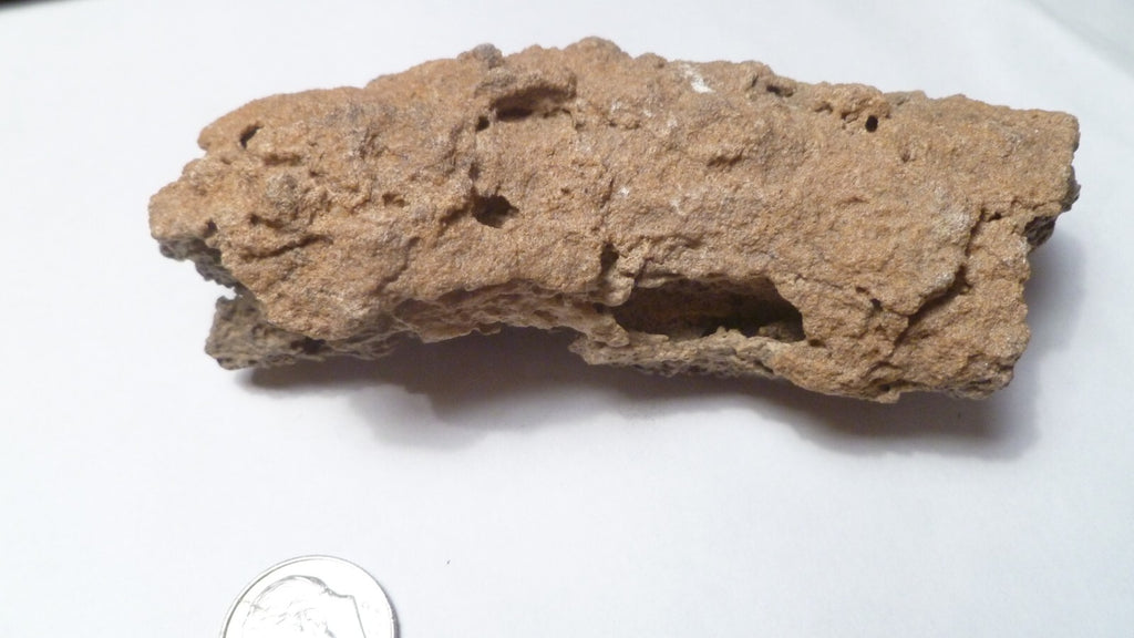 4.25" Fulgurite lightning fused sand Sahara Fossil Lightning