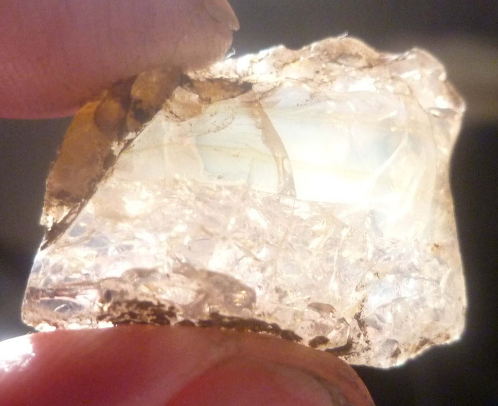 2 Virgin Valley Opal Petrified Wood Specimens Nevada