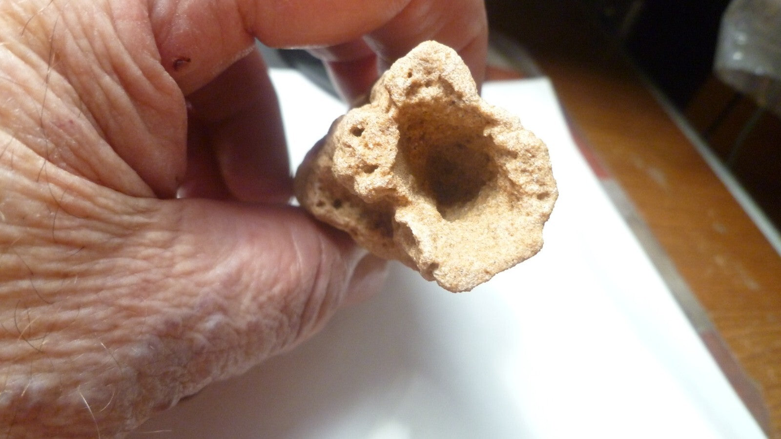 4.75" Fulgurite lightning fused sand Sahara Fossil Lightning