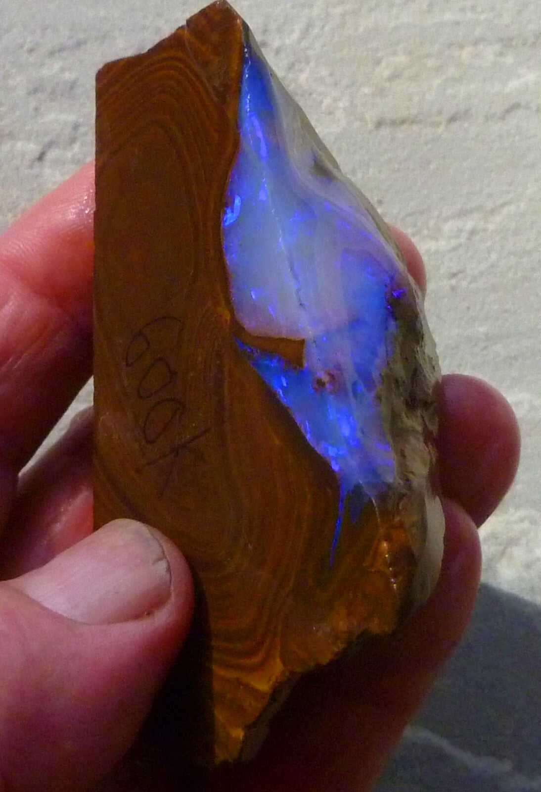 Boulder Opal FIRE & Blue Precious Rough Specimen Australian 700cts