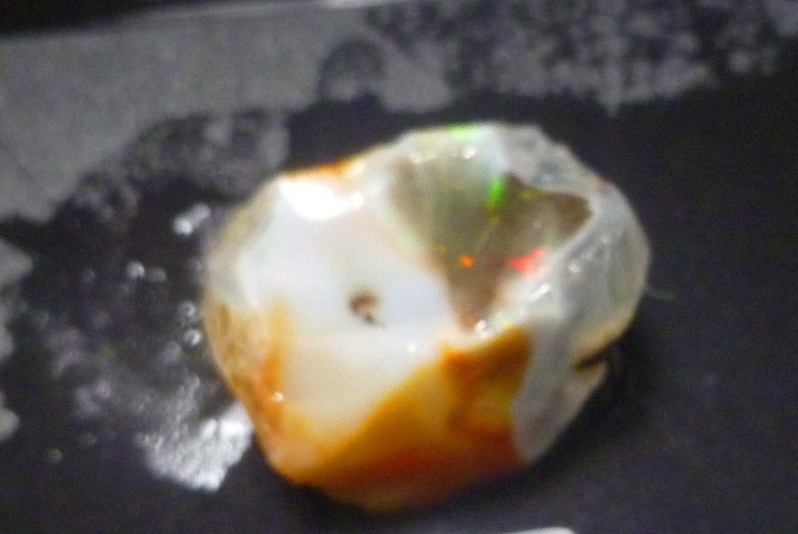 Virgin Valley Black Precious Opal Petrified Wood Nevada 41.2cts!