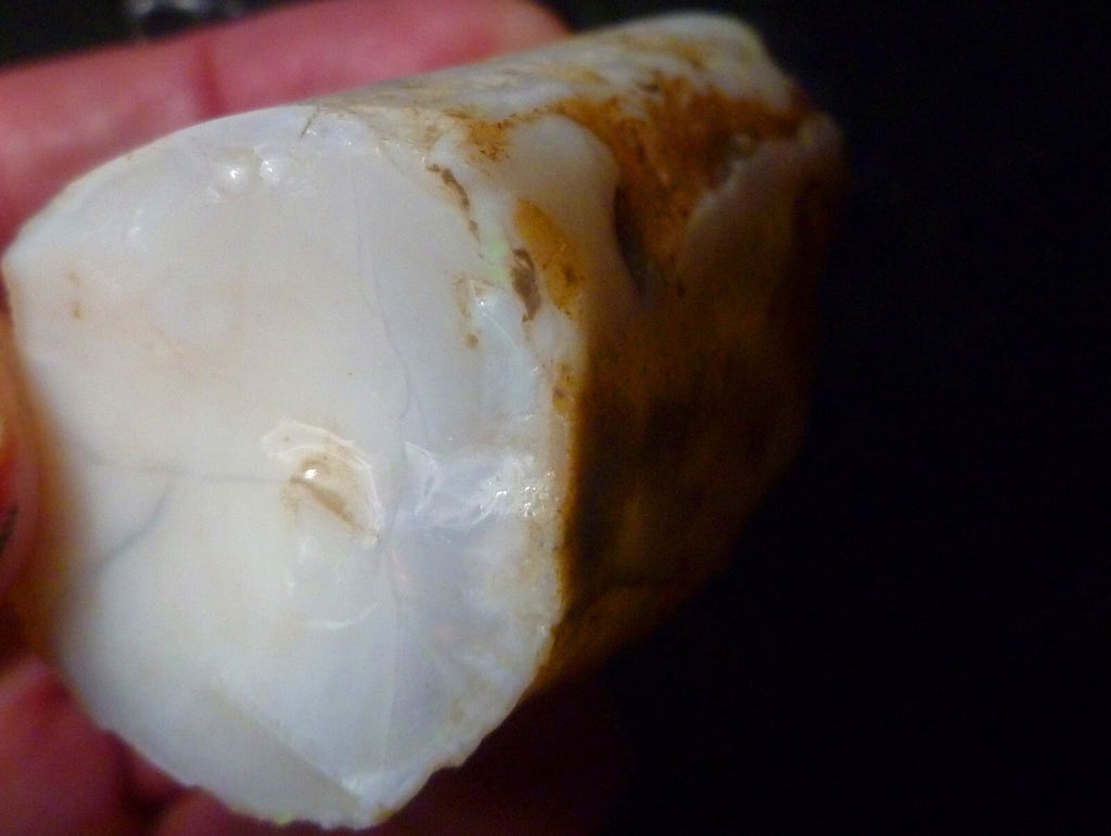 Awesome!  Virgin Valley WHITE Precious Opal Petrified Wood Log Nevada 271..2 cts