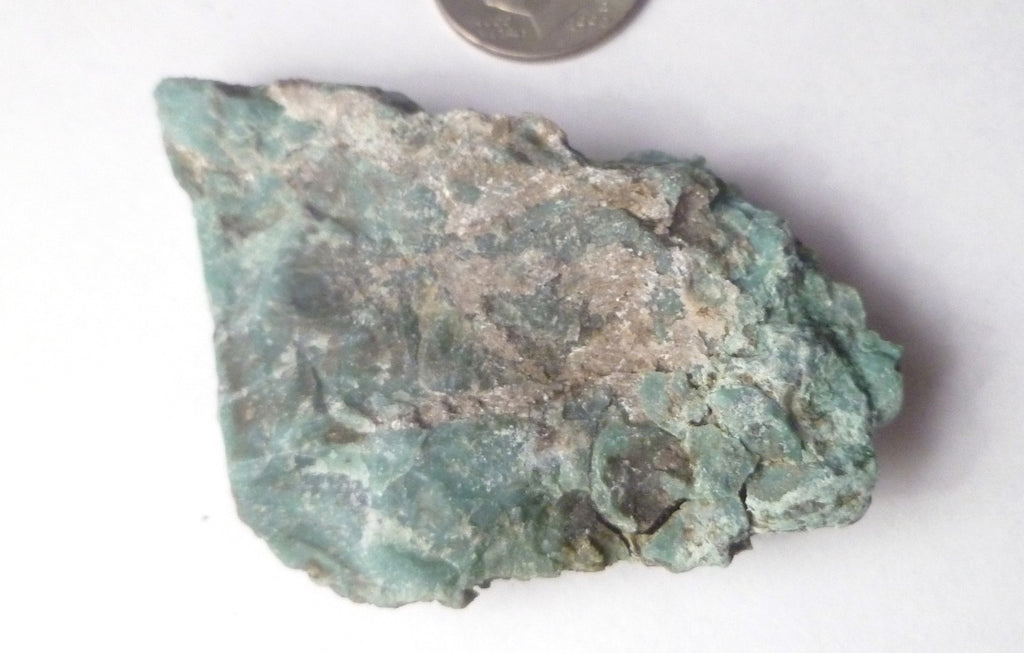 CHROMIUM! Extremely RARE Mint GREEN Petrified Wood ARIZONA 22g