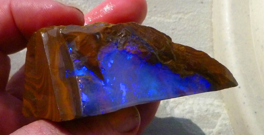 Boulder Opal FIRE & Blue Precious Rough Specimen Australian 700cts