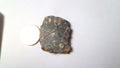 Ancient Sea Floor Slab Shell Fossils Agate 4 Cabochons Collection 100myo