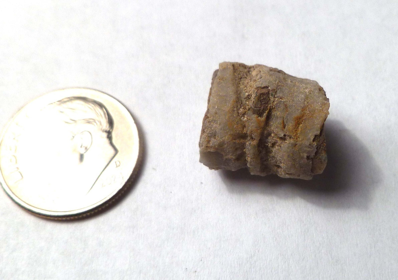 Virgin Valley WHITE PINK Opal Petrified Wood Log Nevada 10 cts