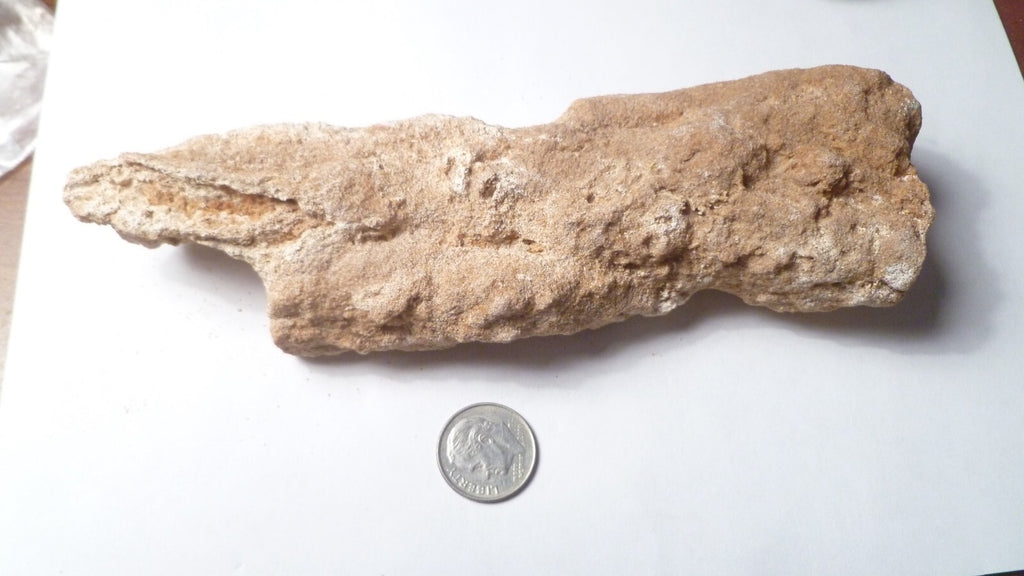 6" Fulgurite lightning fused sand Sahara Fossil Lightning