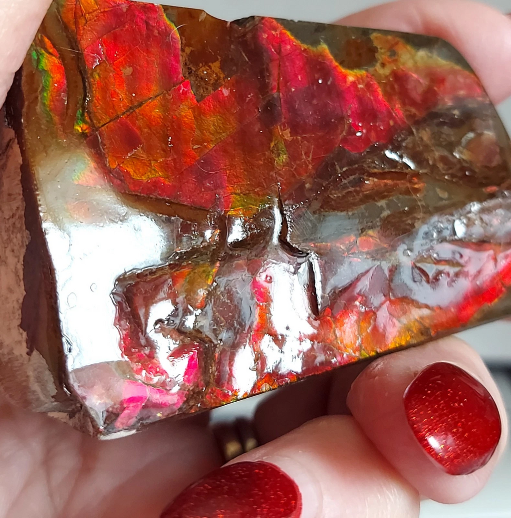 69x47x15mm  RED AMMOLITE gemstone Canada Ammonite