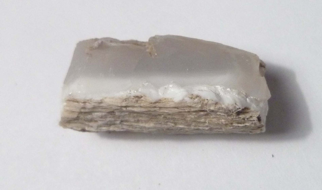 Awesome!  Virgin Valley WHITE Opal Petrified Wood Log Nevada 40 cts