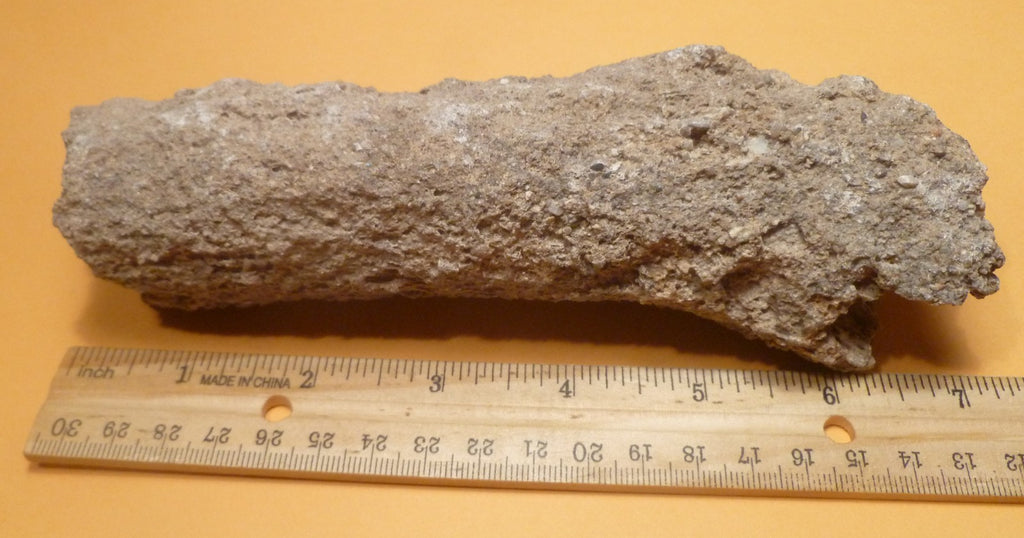 7.25" Fulgurite lightning fused sand ALABAMA Fossil Lightning Museum Piece