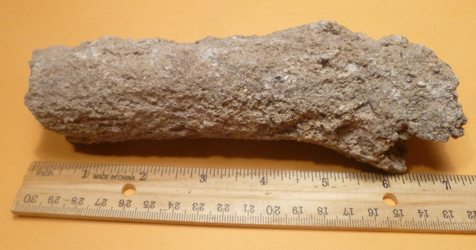 7.25" Fulgurite lightning fused sand ALABAMA Fossil Lightning Museum Piece