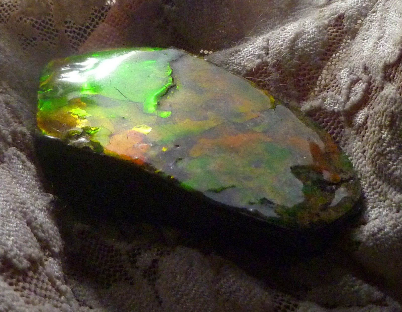 65x36mm RED AMMOLITE  Color change gemstone Canada Ammonite