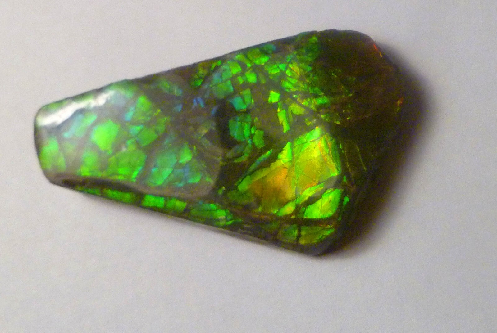 50x32mm Green AMMOLITE gemstone Cabochon Canada Ammonite