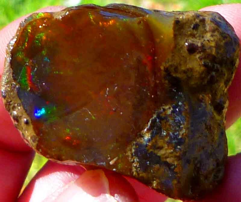 Chocolate Welo Ethiopia Precious Opal 289.4 carats Ethiopian