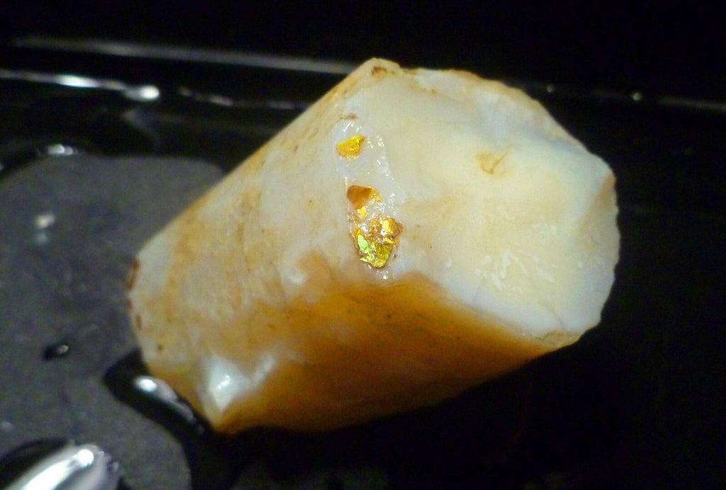 Awesome!  Virgin Valley WHITE Precious Opal Petrified Wood Log Nevada 271..2 cts