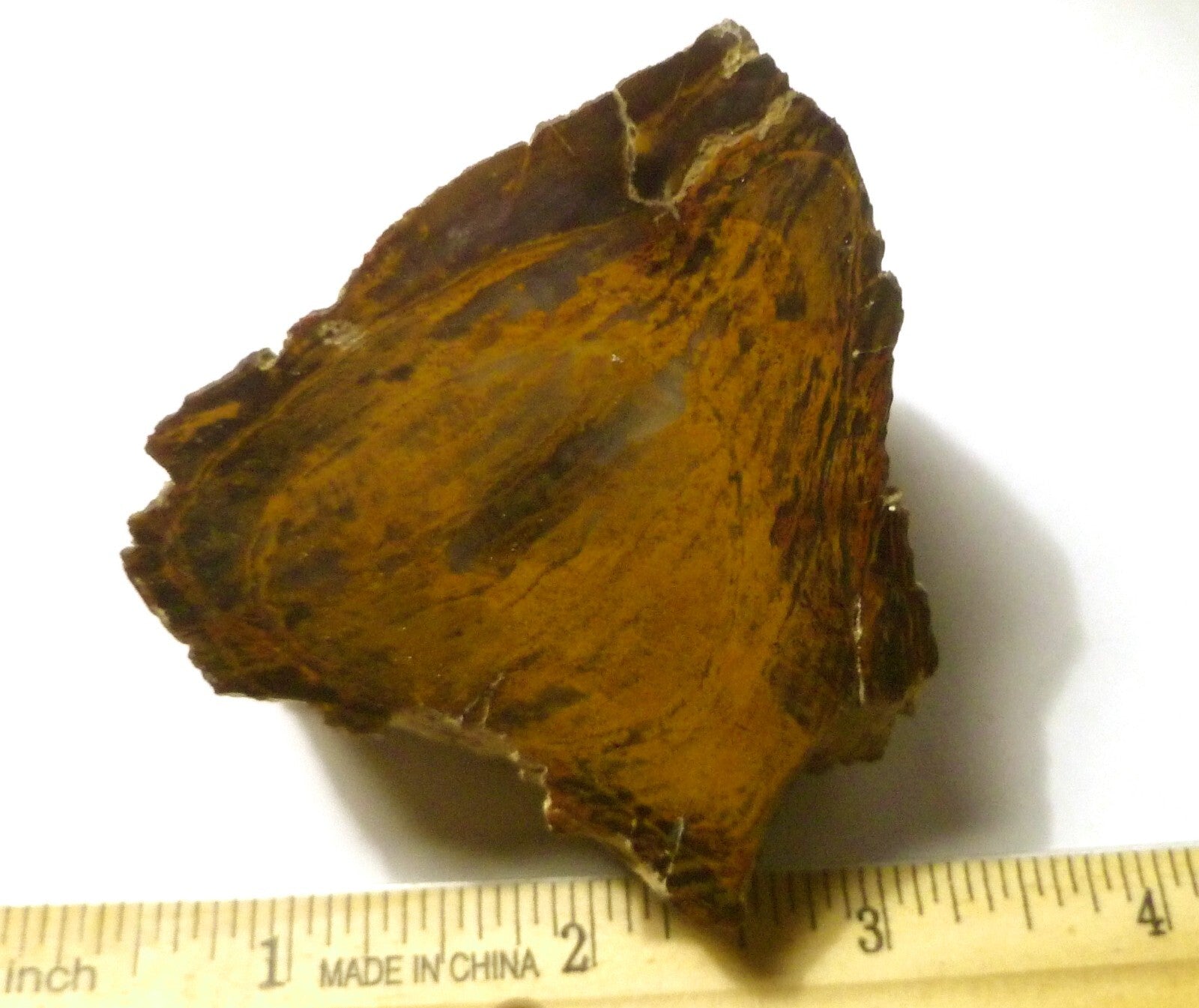Agatized Petrified Wood Rough Cabbing 220g Polished Madagascar