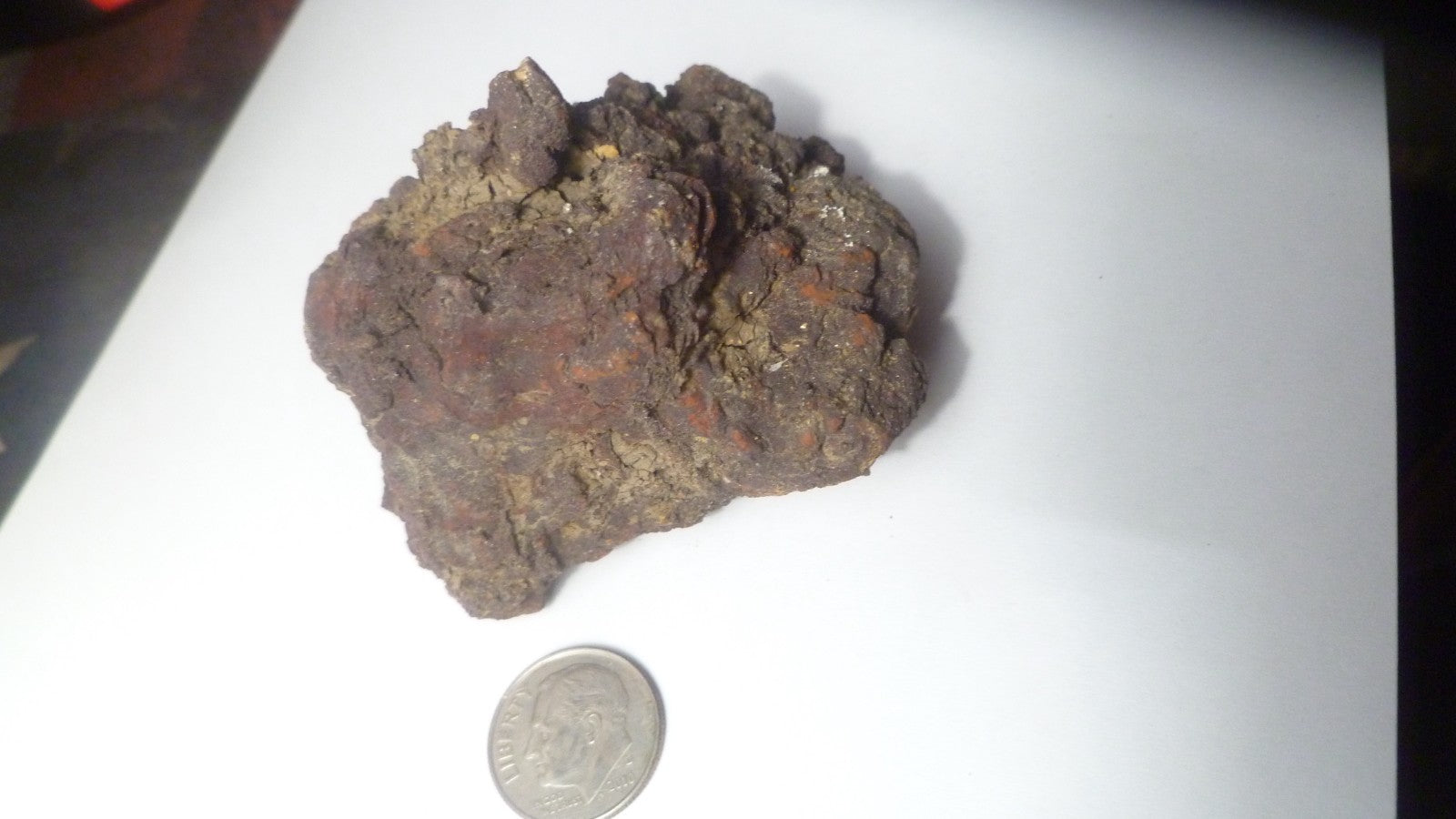 140g Fecal Fossil Dinosaur Coprolite Dung Poop Fossilized Specimen GAG GIFT!