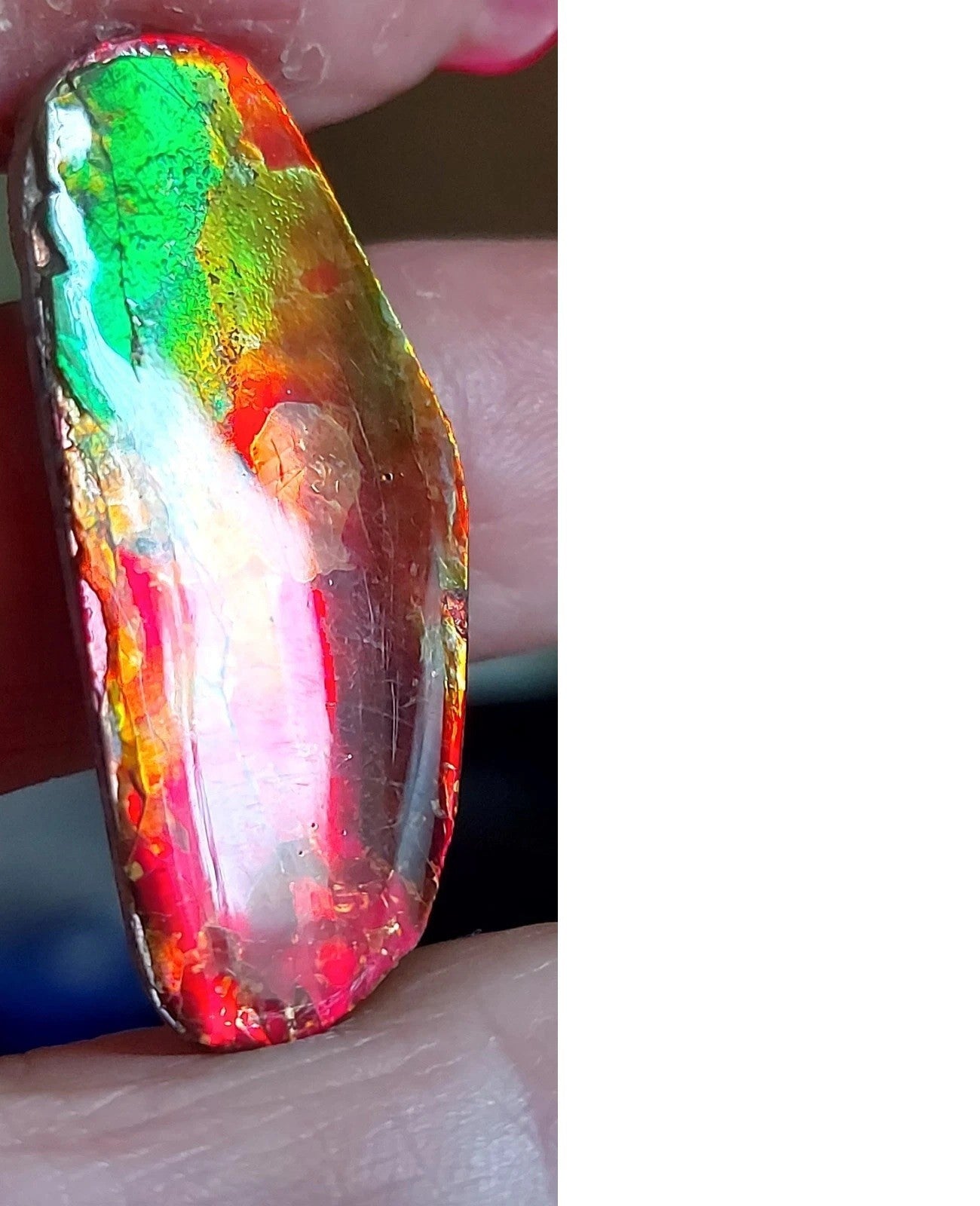 Ammolite Gem Stone 37x17x5mm Color Change Cabochon