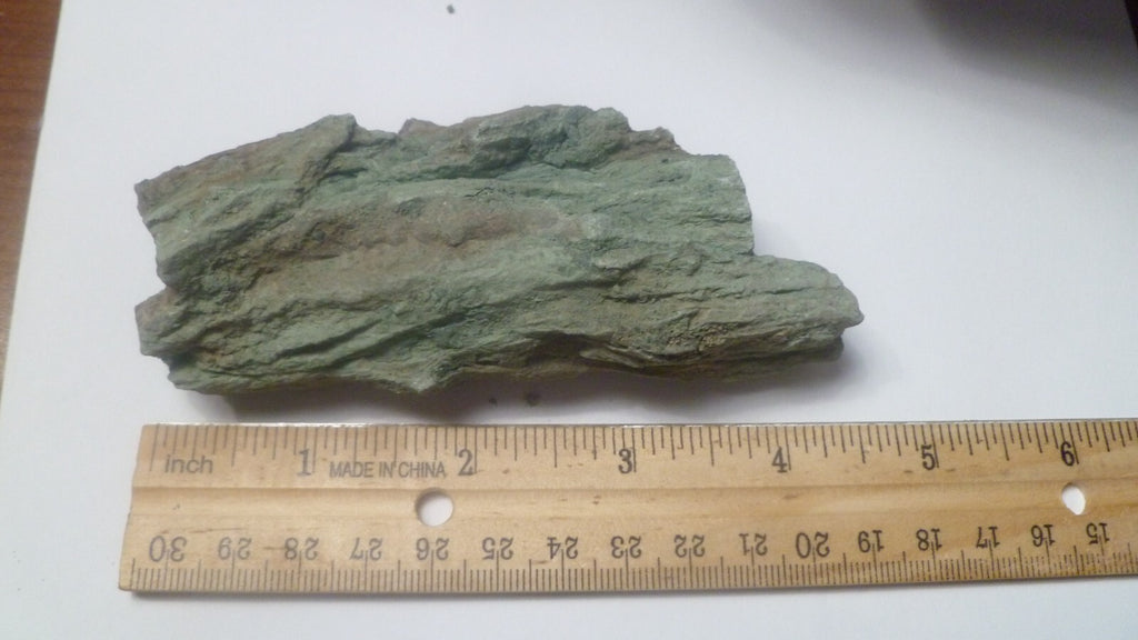 4.5" CHROMIUM! Museum Quality RARE GREEN Petrified Wood Log ARIZONA