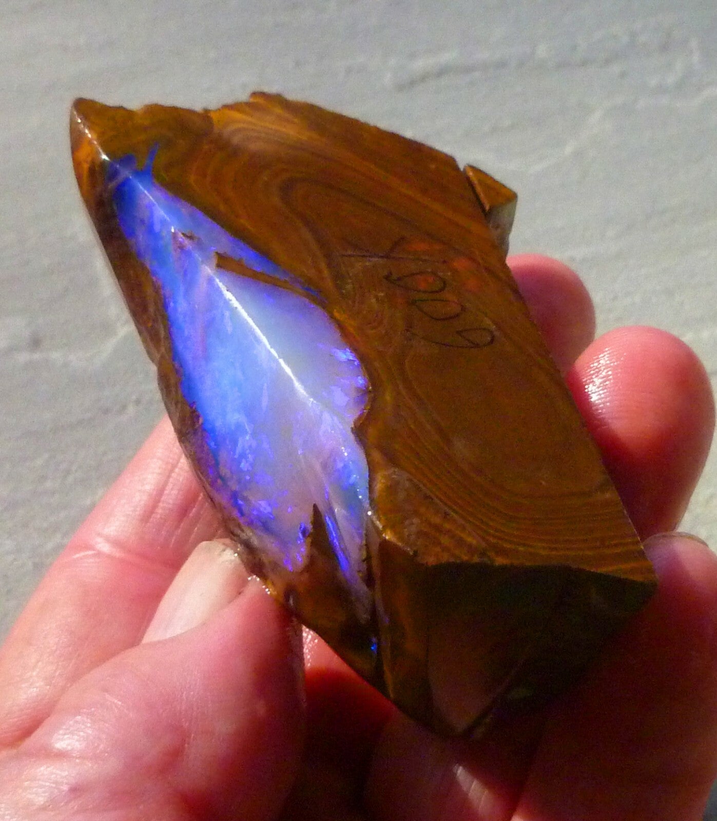 Boulder Opal FIRE & Blue Precious Rough Specimen Australian 700cts