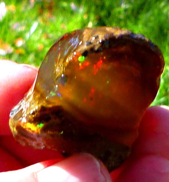 Chocolate Welo Ethiopia Precious Opal 289.4 carats Ethiopian