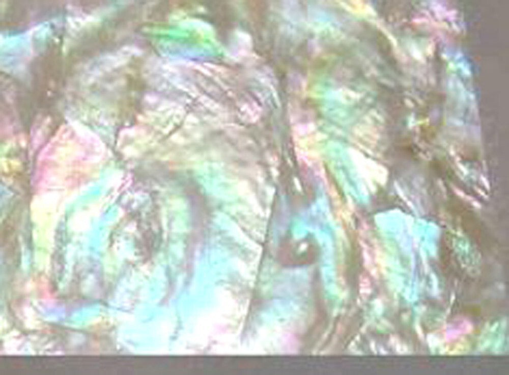 Rainbow Mother of Pearl Shell INLAY OVERLAY Thin Veneer Luthier Scrapbooking
