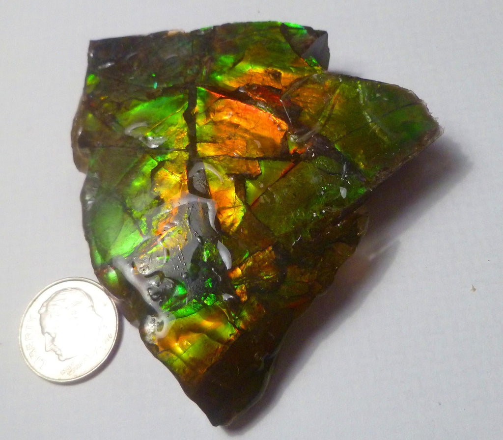 73x58mm AMMOLITE 5 Colors gemstone Canada Ammonite