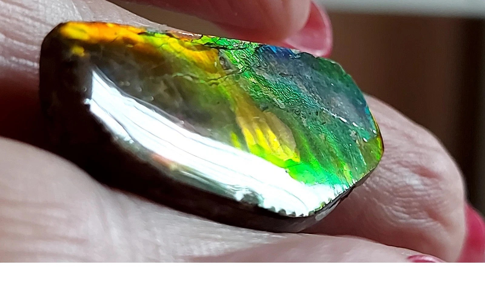 Ammolite Gem Stone 37x17x5mm Color Change Cabochon