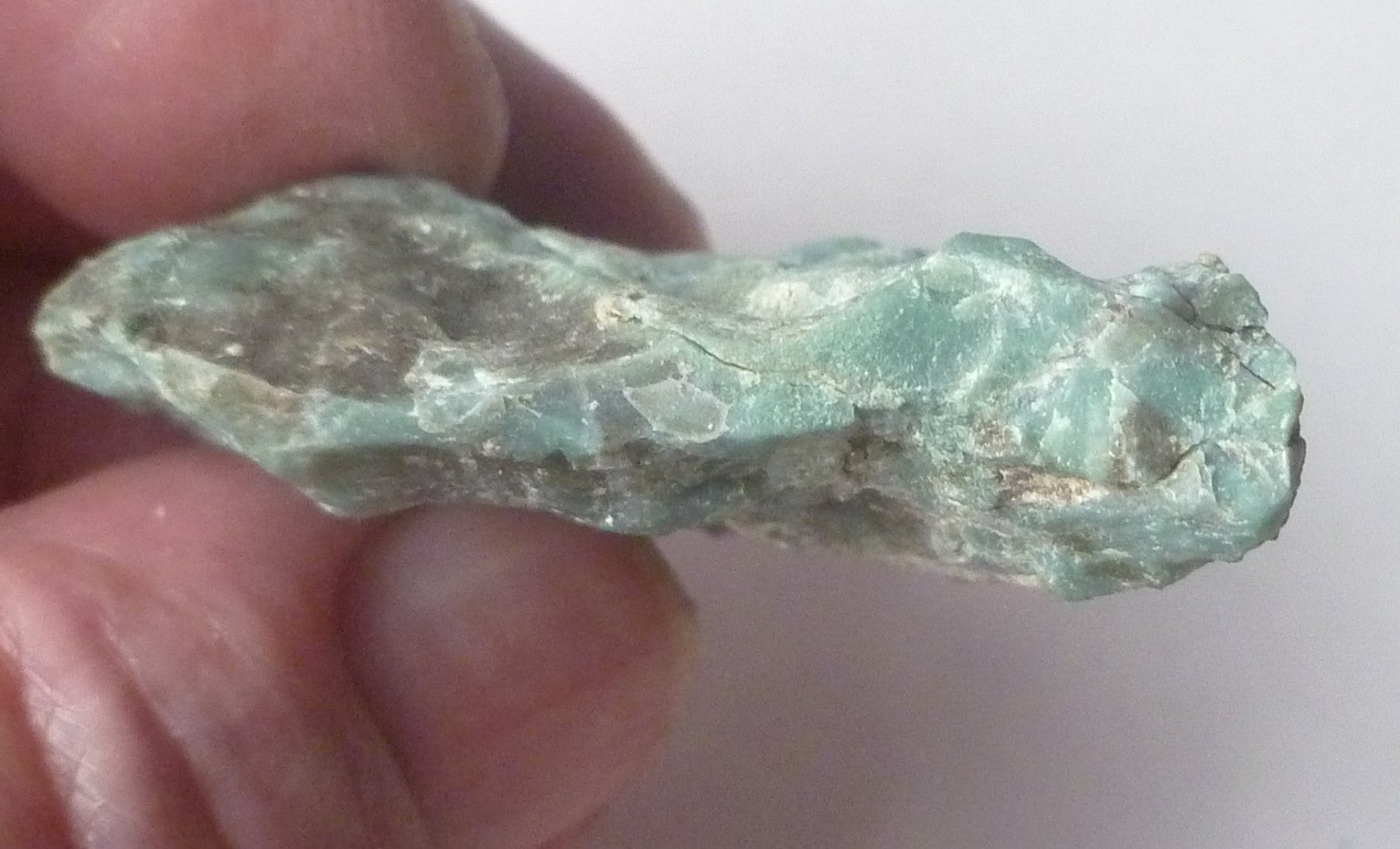 CHROMIUM! Extremely RARE Mint GREEN Petrified Wood ARIZONA 22g