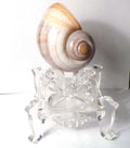 Ornate Acrylic Display Stand Sphere Support Holder Reiki Healing Gift