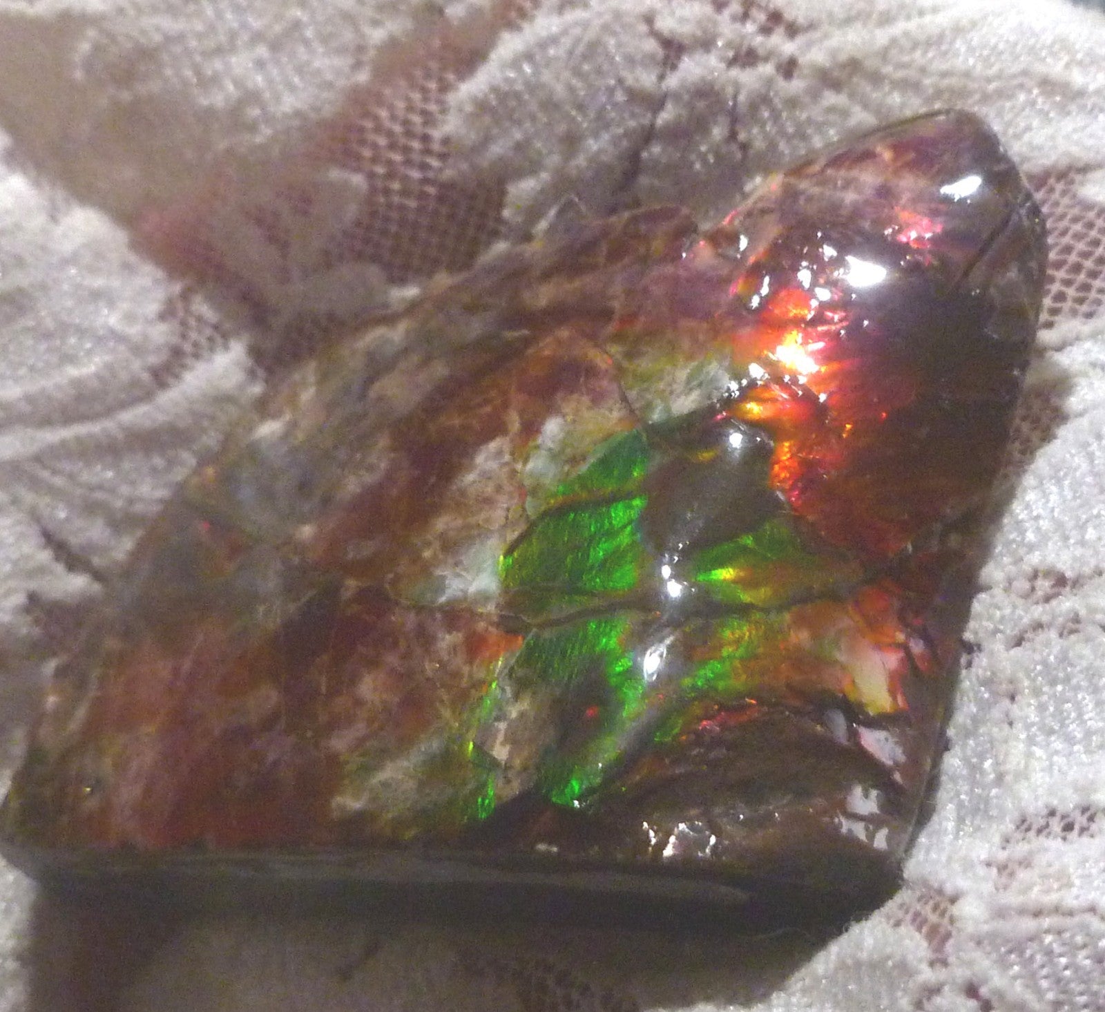AMMOLITE Multi Colos Gemstone Amazing 51x39x17mm