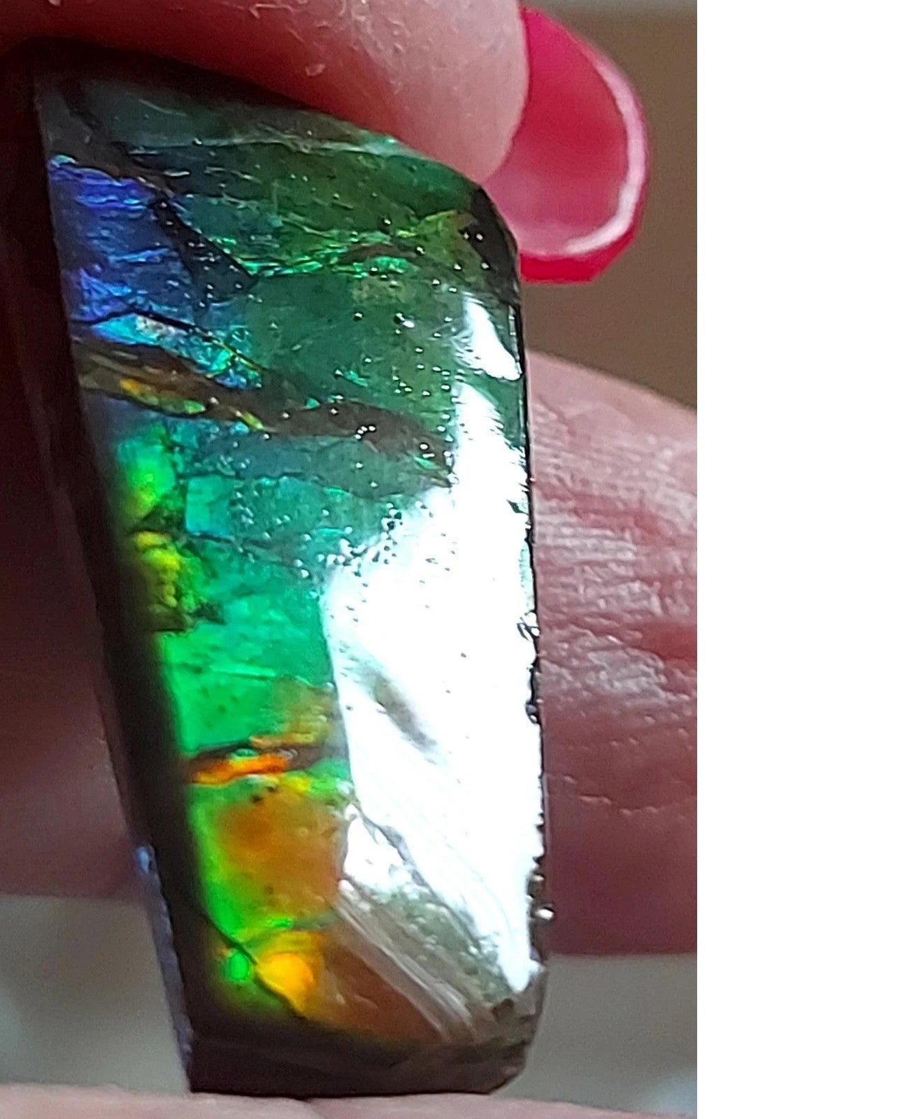 Ammolite Gem Stone 29x15x9mm Color Change Cabochon