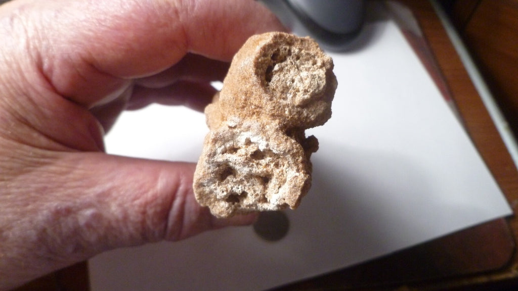 6" Fulgurite lightning fused sand Sahara Fossil Lightning